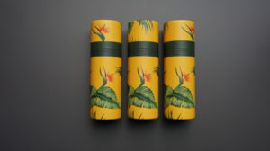 Cajas de cartón estilo jungla coloridas Cajas de cartón estilo jungla de betubed